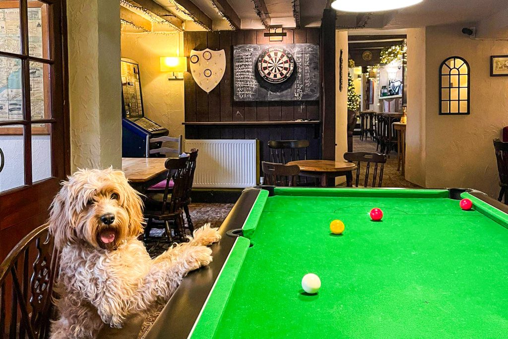 Dog at Pool Table White Horse Inn